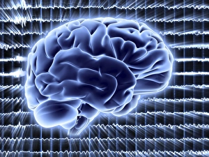 Computer Generated Brain Image Drucke: Brain activity, artwork F006 / 4626