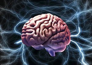 Magnetic Resonance Imaging (MRI) Drucke: Brain activity, composite image C018 / 0660