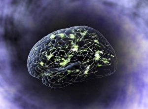 Brain activity, computer artwork