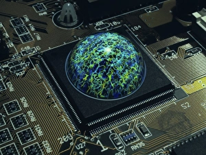 Drucke von Gehirn auf einem Chip Bilder Datiert 2003 März: Gehirn auf einem Chip