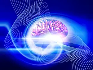 Drucke von Gehirn . Konzeptuelles Computerkunstwerk einer Seitenansicht des menschlichen Gehirns, das Strahlen von Licht emittiert. Die Vorderseite des Gehirns ist rechts Bilder Datiert 2004 November: Brain