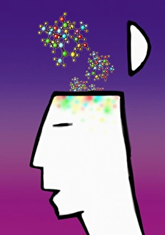Human Brain Illustration Drucke: Brain drug