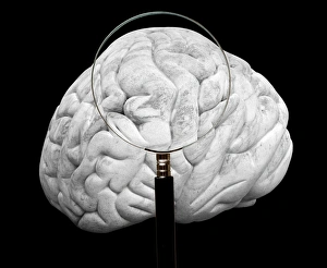 Conceptual Brain Image Drucke: Brain examination, conceptual image