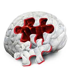 Conceptual Brain Image Drucke: Brain function, conceptual