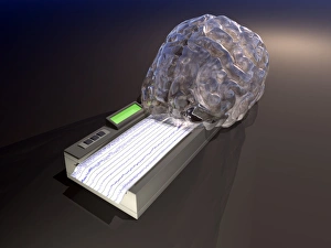 Brain Function Illustration Drucke: Brain function, conceptual artwork