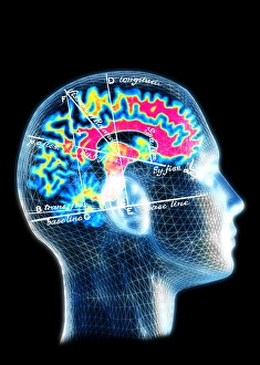 Drucke von Gehirn-Karte . Konzeptuelles Computerkunstwerk eines Gehirns mit einer Karte der anatomischen Merkmale überlagert Bilder Datiert 2003 Januar: Gehirn-Karte