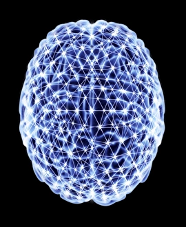 Neural Network Diagram Drucke: Brain, neural network