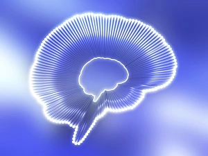Human Nervous System Illustration Drucke: Brain outline, artwork