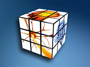Drucke von Geistkraft Konzeptuelle Kunstwerke eines Computers mit neurologischen Bildern auf seinen Oberflächen Bilder Datiert 2006 August: Geistige Kraft