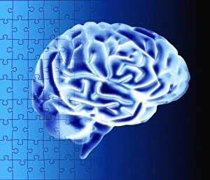 Drucke von Gehirnpuzzle. Konzeptuelle Kunstwerk eines Computers mit einem Menschenhirn als Überlagenerung zu einer Jigsaw-Puzzlemusterform Bilder Datiert 2003 März: Gehirngeschicklichkeit