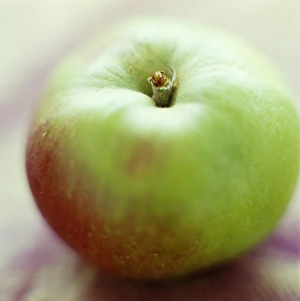 Apple Varieties Drucke: Bramley apple