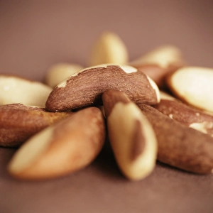 Bertholletia Excelsa Drucke: Brazil nuts