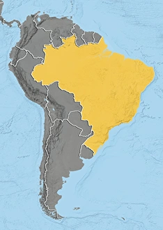 South America Geography Drucke: Brazil, relief map