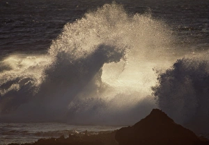 Breaking Wave Photography Drucke: Breaking wave