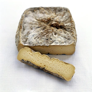 Brie Cheese Drucke: Brie cheese