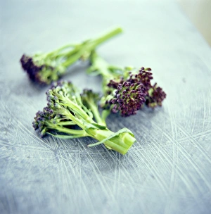 Fresh Produce Pictures Drucke: Broccoli florets