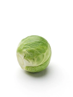Green Plant Growth Drucke: Brussels sprout
