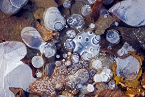 Greenhouse Gas Emissions Drucke: Bubbles of methane