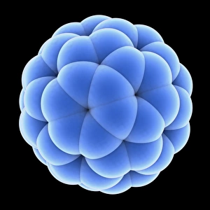 Buckminsterfullerene Structure Drucke: Buckyball molecule C60, artwork