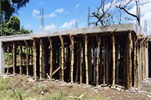 Sustainable Building Materials Drucke: Building construction