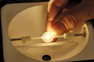 Drucke von Bulbforschung. Prototyp niedrigerer Wärmeleuchtkegel wird im Miniatur- Ulbricht oder integriertem Kugelraum getestet Bilder Datiert 2006 Januar: Blumenforschung