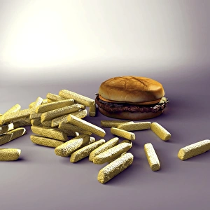 Bürger und Pommesfritten, Computerkunstwerk