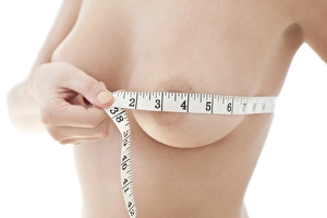 Human Anatomy Study Drucke: Bust measurement