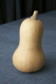 Kitchen Table Still Life Drucke: Butternut squash