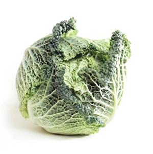 Fresh Green Vegetables Drucke: Cabbage