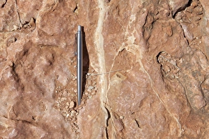 Limestone Formations Drucke: calcite veining in limestone