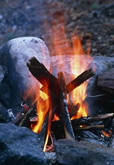 Outdoor Cooking Methods Drucke: Campfire