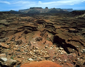 Colorado River Erosion Drucke: Canyons