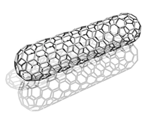 Carbon Allotrope Drucke: Capped nanotube, computer artwork