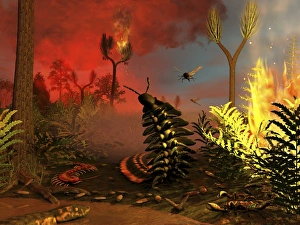 Drucke von Ein Feuer im Carboniferous-Wald Bilder Datiert 2012 Dezember: Karbonferzeschichtfeuerbrandwerkstatt
