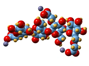Drucke von Carboxymethylzellulose (CMC), molekular Modell. Diese Zellulose-Derivat hat eine Vielzahl von Verwendungen in der Industrie Bilder Datiert 2009 Oktober: Zellulosecarbonsäuremolekül