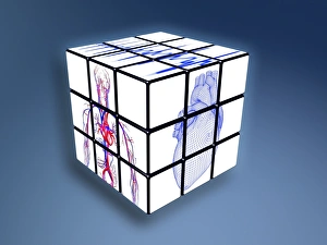 Bilder Datiert 31. Juli 2012: Kardiovaskuläres System auf einem Rubik-Kubus