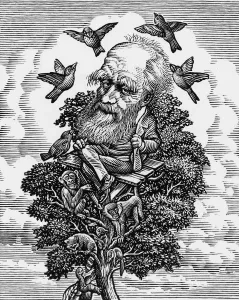Karl Darwin im Evolutionsbaum