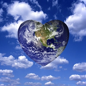 Eco Friendly Artwork Drucke: Caring for the planet, conceptual artwork