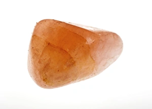 Drucke von Schnittbild eines Koralinsteins auf weißem Hintergrund Bilder Datiert 2011 August: Carnelia