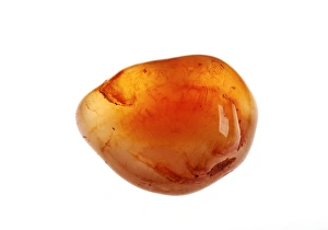 Mineral Specimen Photography Drucke: Carnelian