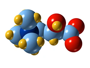 Cellular Energy Production Drucke: Carnitine molecule