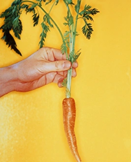Carrot Nutrition Drucke: Carrot