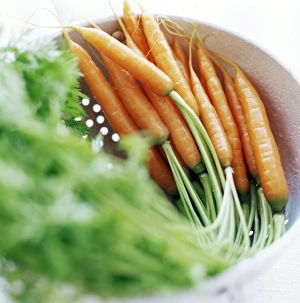 Root Vegetable Images Drucke: Carrots