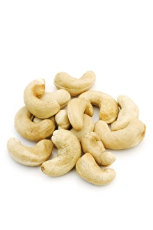 Anacardium Occidentale Drucke: Cashew nuts