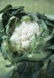 Cauliflower Nutrition Drucke: Cauliflower