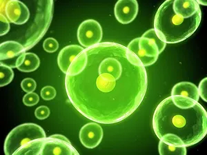 Cell Biology Drucke: Cells, conceptual computer artwork