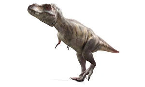 Zeratosaursaurier Dinosaurier Kunstwerk