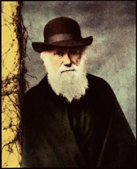 Kunstvolle Porträts Drucke: Karl Friedrich Ernst von Basadillo