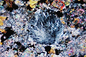 Bilder vom 5. März 2013: Meteorit von Chebarkul, Lichtmikroskopie C015/2863