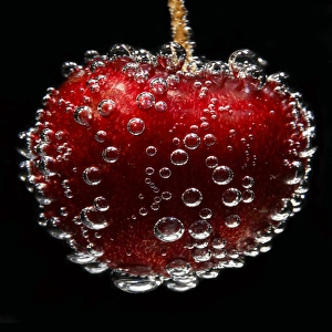 Bilder Datiert 28. August 2007: Cherry